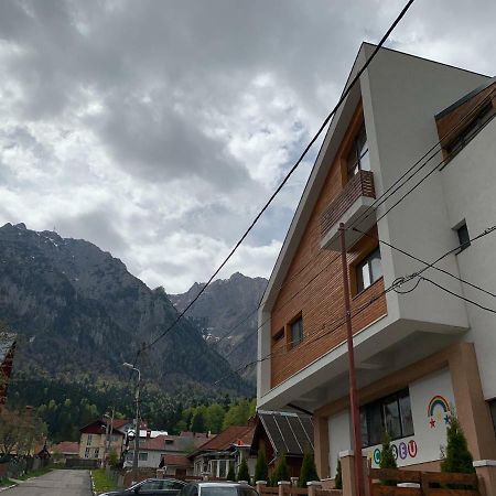 Buşteni Vila Curcubeu酒店 外观 照片