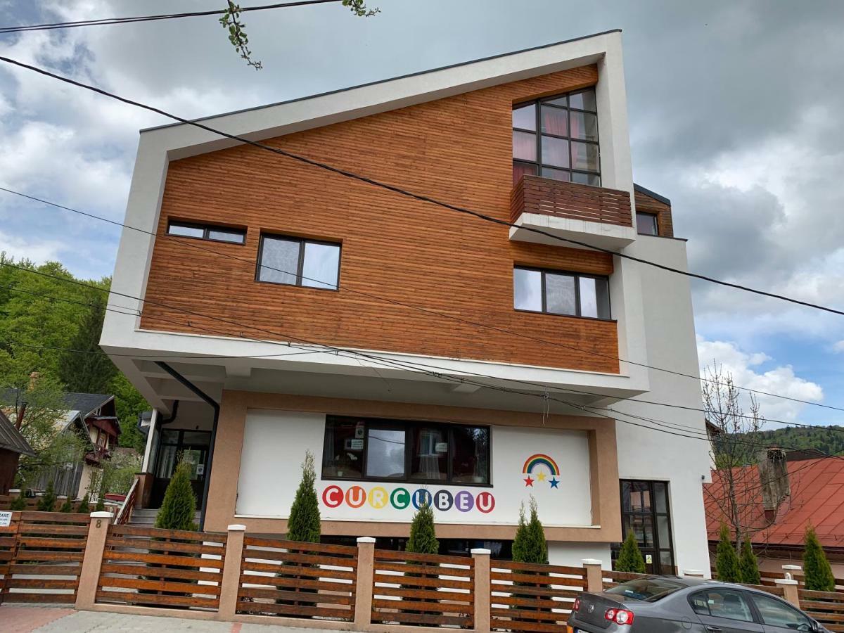 Buşteni Vila Curcubeu酒店 外观 照片