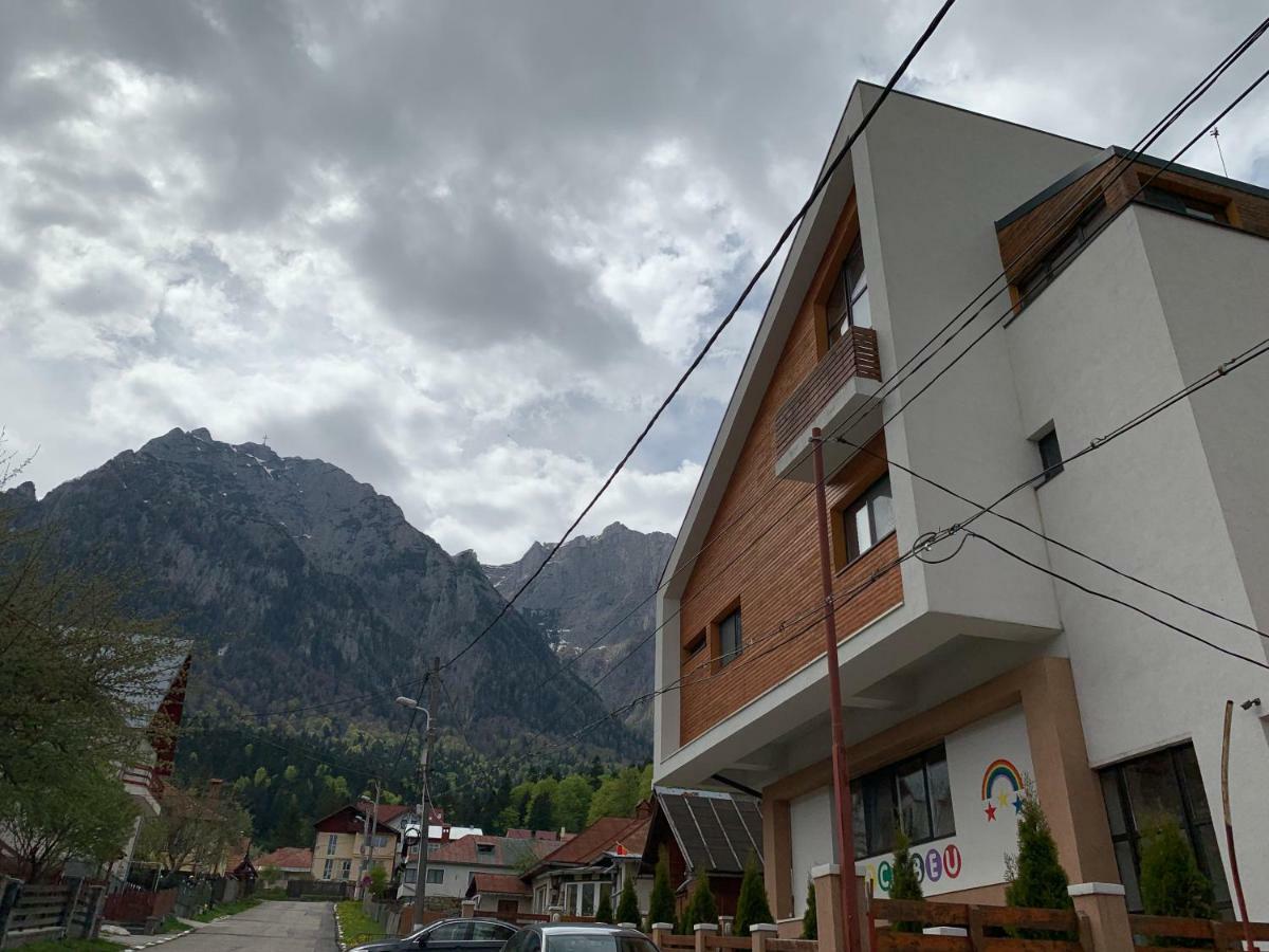 Buşteni Vila Curcubeu酒店 外观 照片